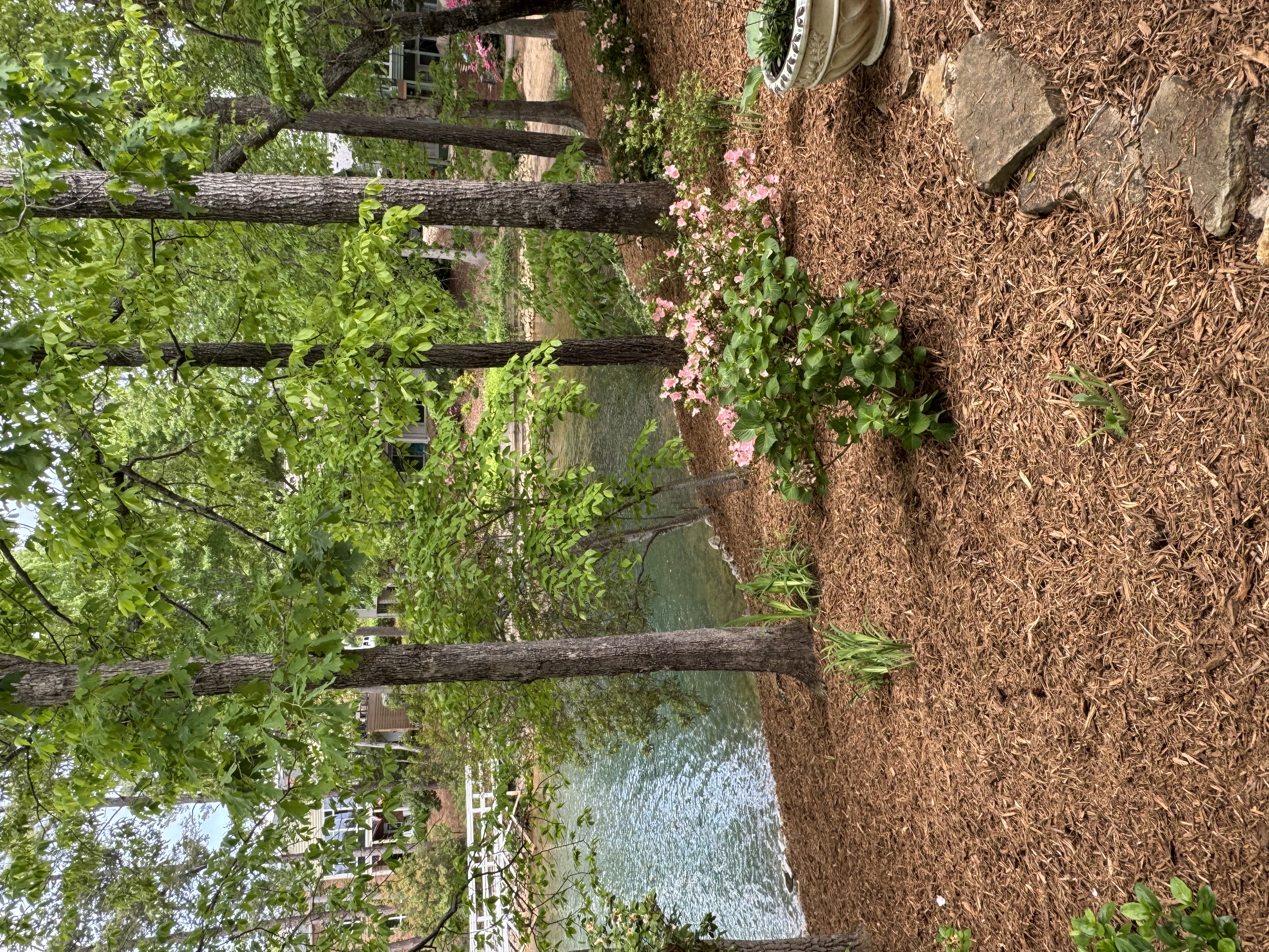 Waterfront landscape mulching