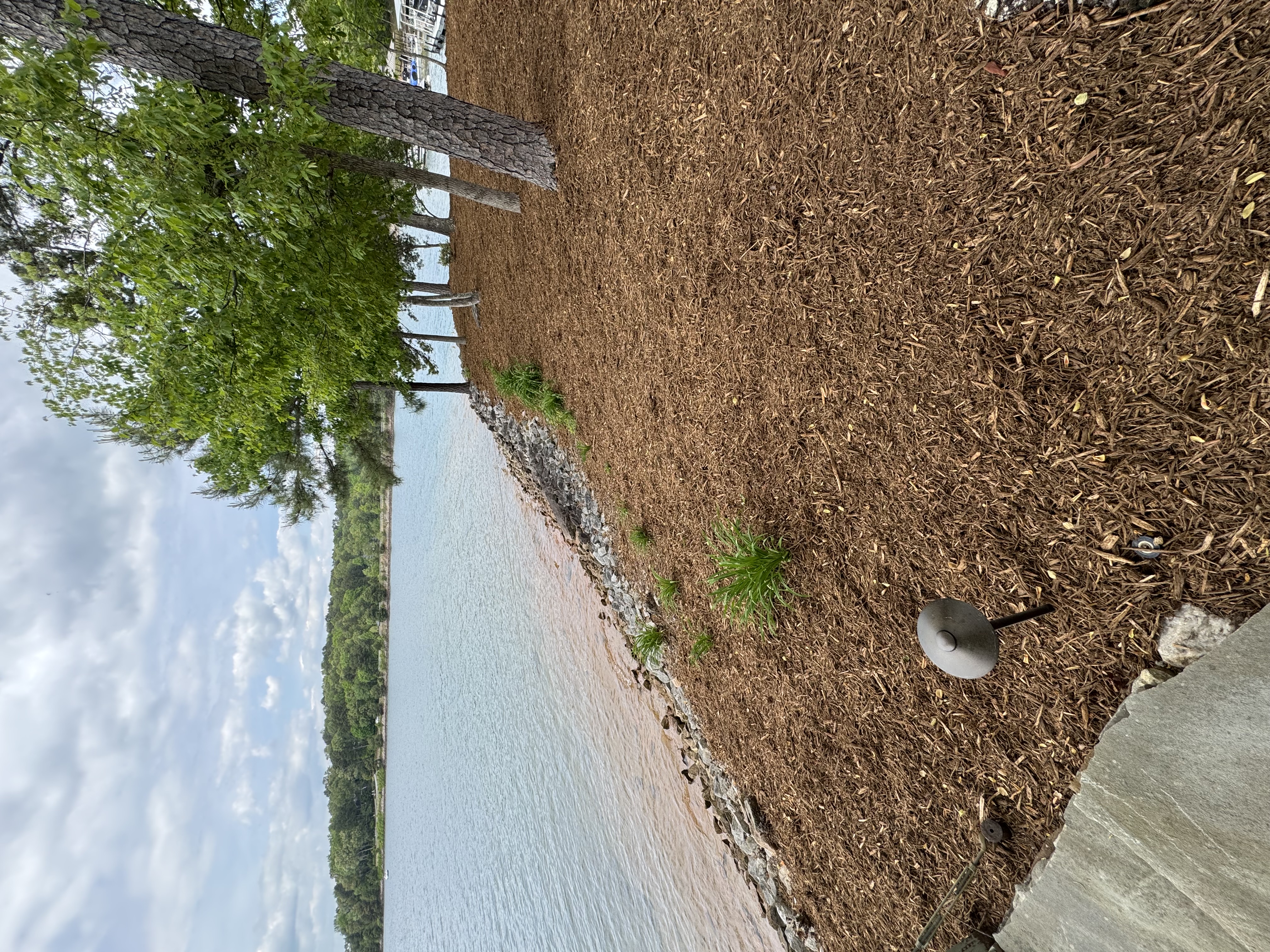 Lakefront mulch installation