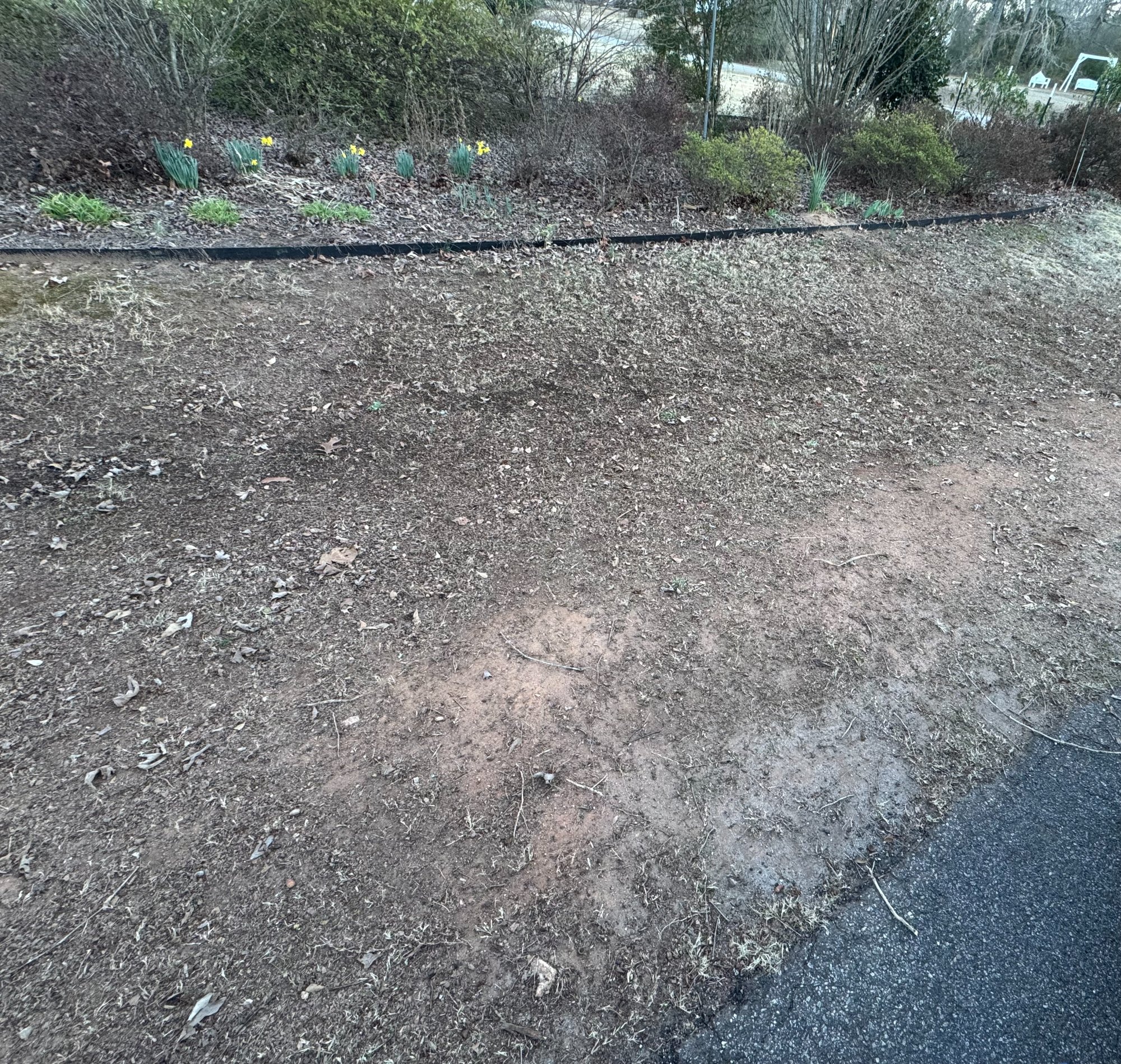 Yard cleared of leaves and debris